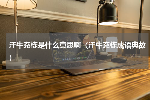 汗牛充栋是什么意思啊（汗牛充栋成语典故）