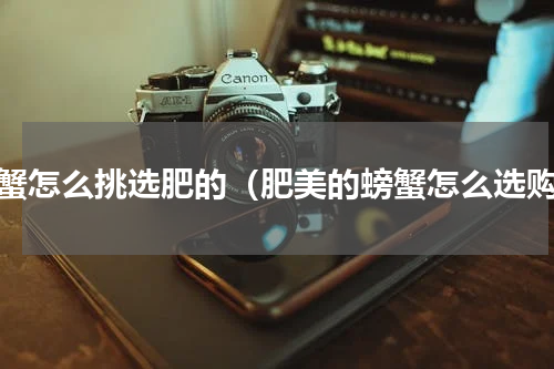 螃蟹怎么挑选肥的（肥美的螃蟹怎么选购）