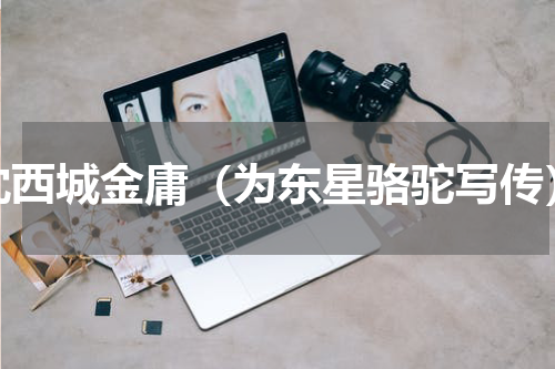 沈西城金庸（为东星骆驼写传）