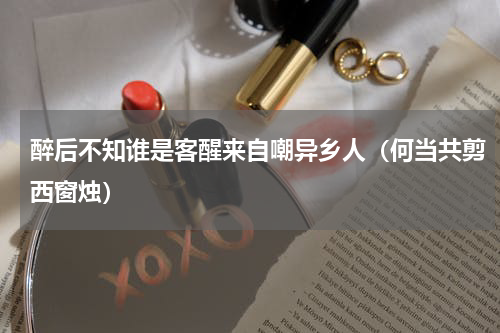醉后不知谁是客醒来自嘲异乡人（何当共剪西窗烛）