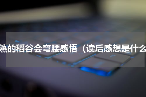 成熟的稻谷会弯腰感悟（读后感想是什么）