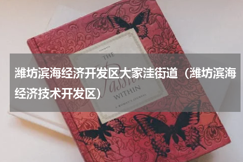 潍坊滨海经济开发区大家洼街道（潍坊滨海经济技术开发区）
