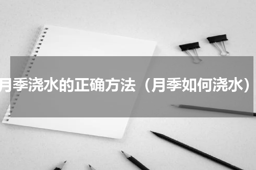 月季浇水的正确方法（月季如何浇水）