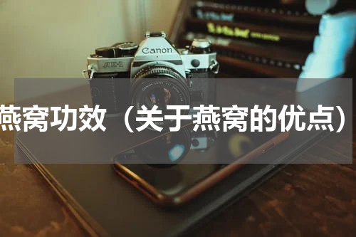 燕窝功效（关于燕窝的优点）