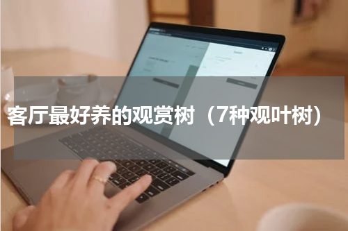 客厅最好养的观赏树（7种观叶树）