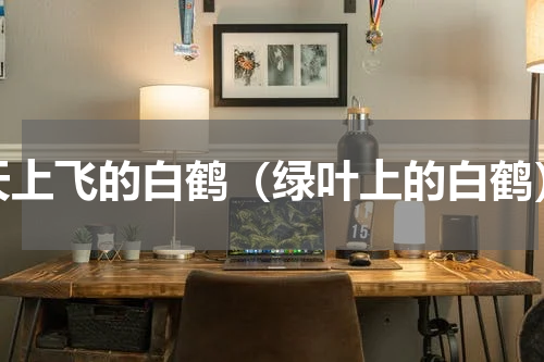 天上飞的白鹤（绿叶上的白鹤）