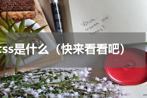 tss是什么（快来看看吧）