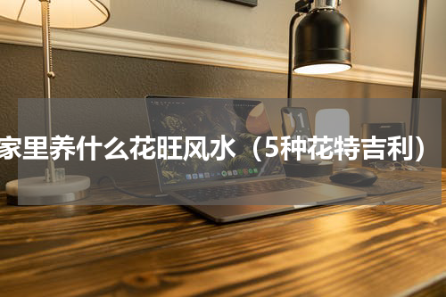 家里养什么花旺风水（5种花特吉利）