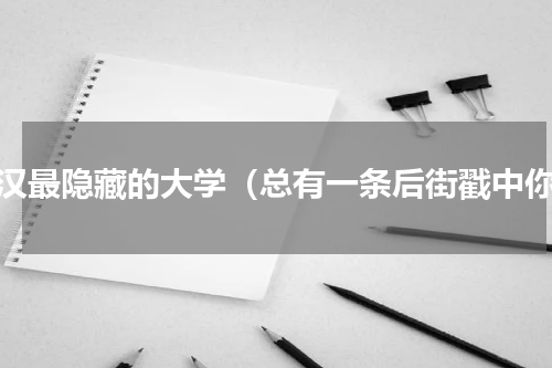 武汉最隐藏的大学（总有一条后街戳中你）