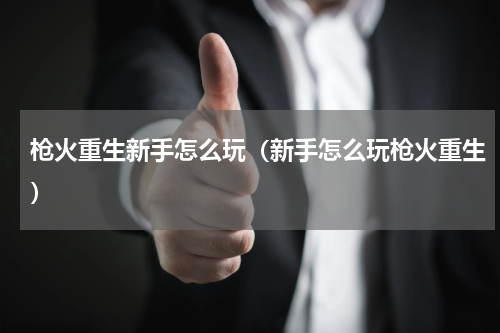 枪火重生新手怎么玩（新手怎么玩枪火重生）