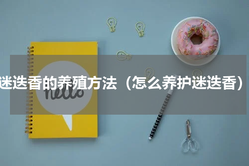 迷迭香的养殖方法（怎么养护迷迭香）