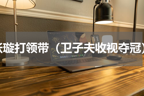张璇打领带（卫子夫收视夺冠）