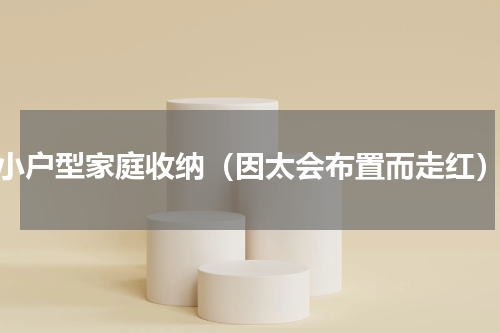 小户型家庭收纳（因太会布置而走红）