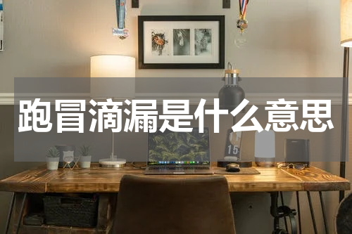 跑冒滴漏是什么意思