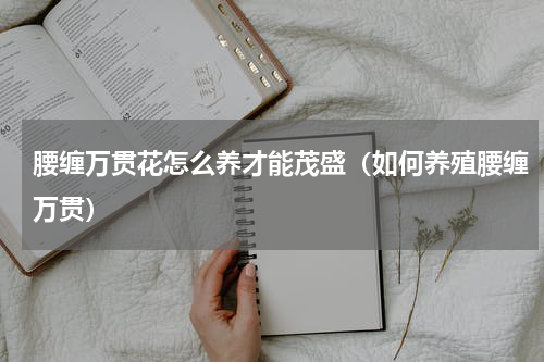 腰缠万贯花怎么养才能茂盛（如何养殖腰缠万贯）