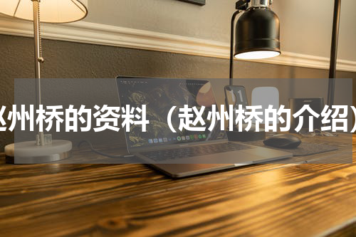 赵州桥的资料（赵州桥的介绍）