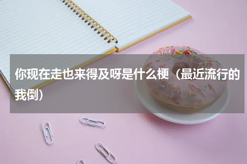你现在走也来得及呀是什么梗（最近流行的我倒）