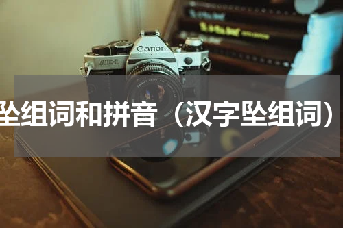 坠组词和拼音（汉字坠组词）