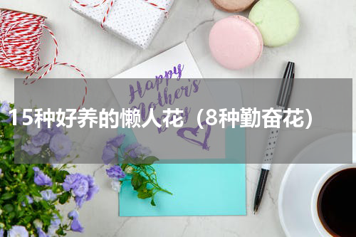 15种好养的懒人花（8种勤奋花）