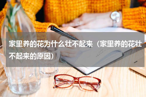 家里养的花为什么壮不起来（家里养的花壮不起来的原因）