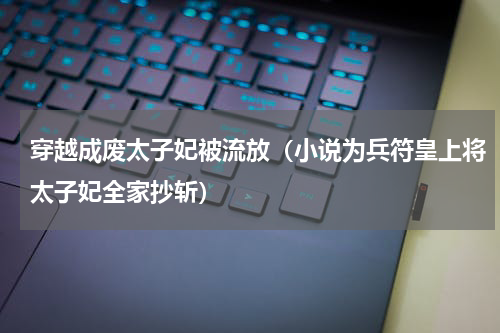 穿越成废太子妃被流放（小说为兵符皇上将太子妃全家抄斩）