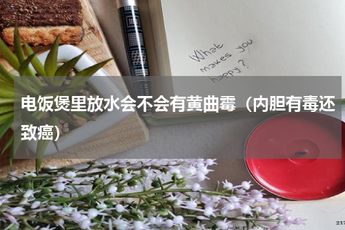 电饭煲里放水会不会有黄曲霉（内胆有毒还致癌）