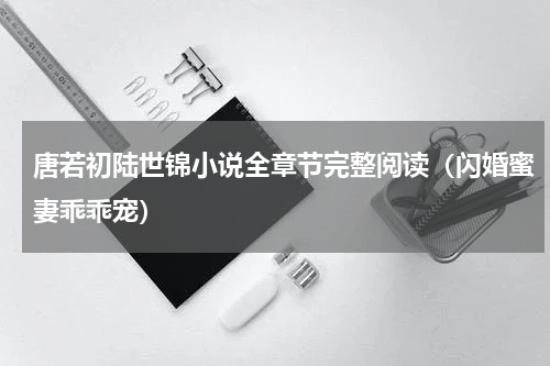唐若初陆世锦小说全章节完整阅读（闪婚蜜妻乖乖宠）