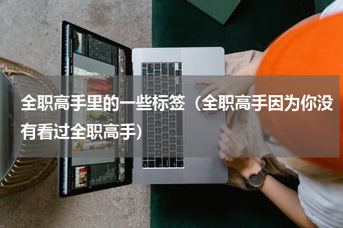 全职高手里的一些标签（全职高手因为你没有看过全职高手）