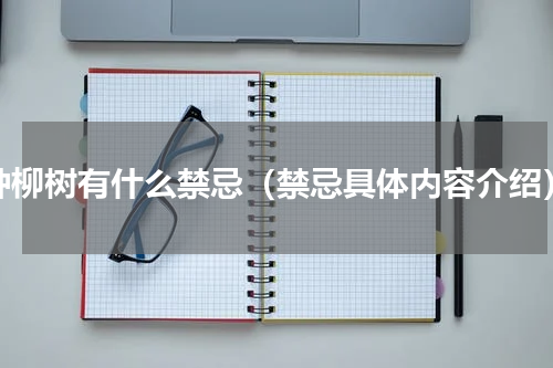 种柳树有什么禁忌（禁忌具体内容介绍）