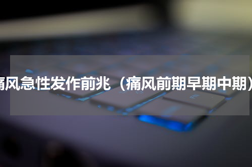 痛风急性发作前兆（痛风前期早期中期）
