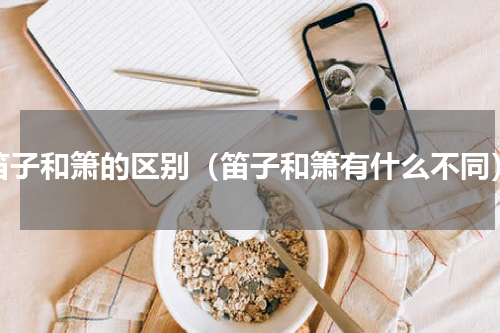 笛子和箫的区别（笛子和箫有什么不同）