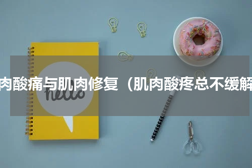 肌肉酸痛与肌肉修复（肌肉酸疼总不缓解）