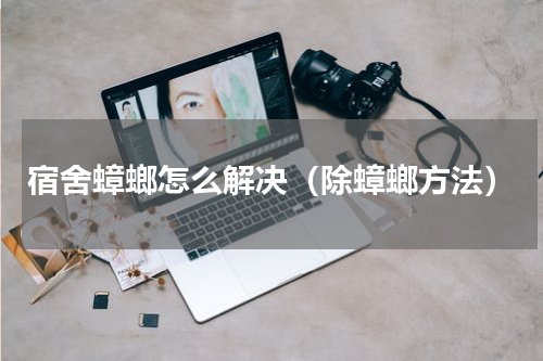 宿舍蟑螂怎么解决（除蟑螂方法）