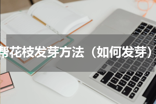 帮花枝发芽方法（如何发芽）