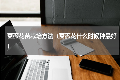 蔷薇花苗栽培方法（蔷薇花什么时候种最好）