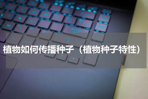 植物如何传播种子（植物种子特性）