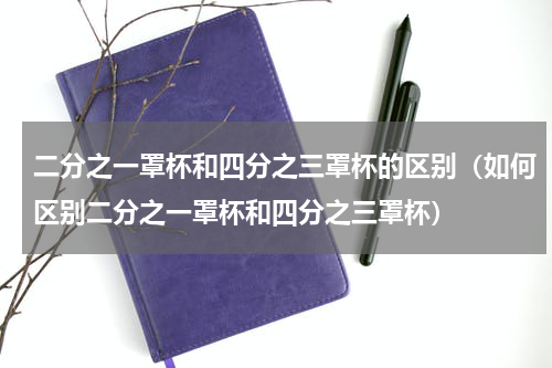 二分之一罩杯和四分之三罩杯的区别（如何区别二分之一罩杯和四分之三罩杯）