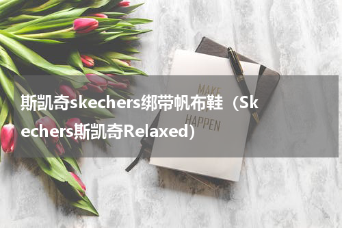斯凯奇skechers绑带帆布鞋（Skechers斯凯奇Relaxed）