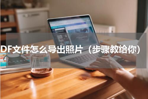 PDF文件怎么导出照片（步骤教给你）