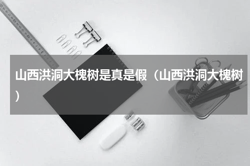 山西洪洞大槐树是真是假（山西洪洞大槐树）