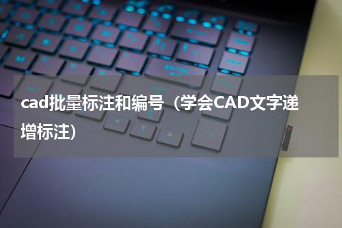 cad批量标注和编号（学会CAD文字递增标注）