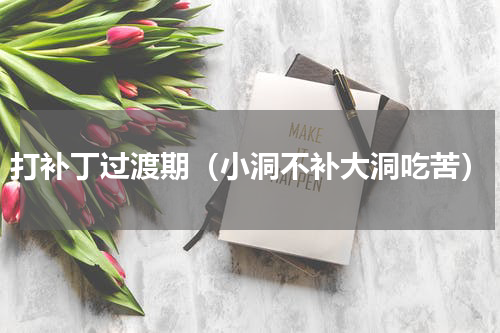 打补丁过渡期（小洞不补大洞吃苦）
