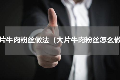 大片牛肉粉丝做法（大片牛肉粉丝怎么做）