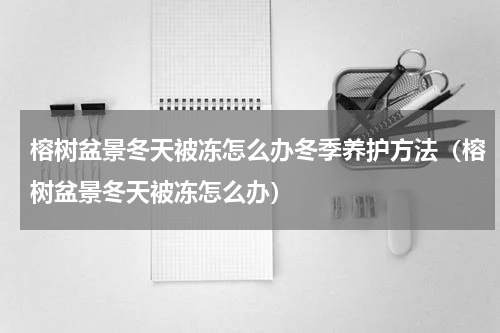 榕树盆景冬天被冻怎么办冬季养护方法（榕树盆景冬天被冻怎么办）
