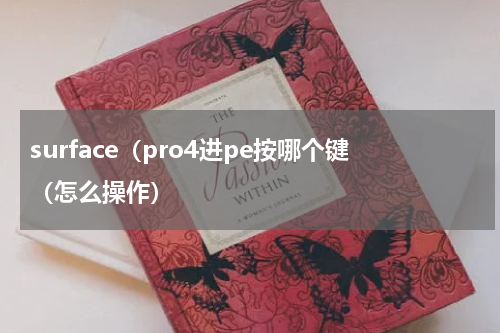 surface（pro4进pe按哪个键（怎么操作）