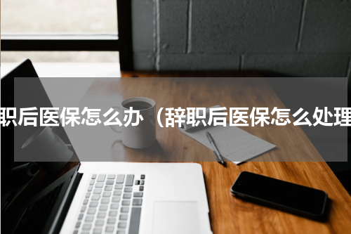 辞职后医保怎么办（辞职后医保怎么处理）