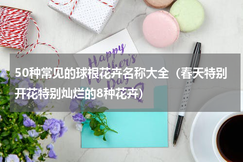 50种常见的球根花卉名称大全（春天特别开花特别灿烂的8种花卉）