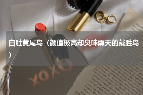 白肚黄尾鸟（颜值极高却臭味熏天的戴胜鸟）