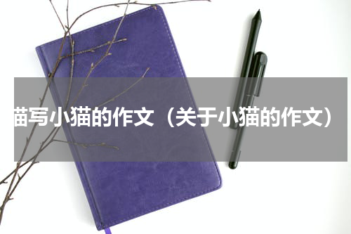 描写小猫的作文（关于小猫的作文）