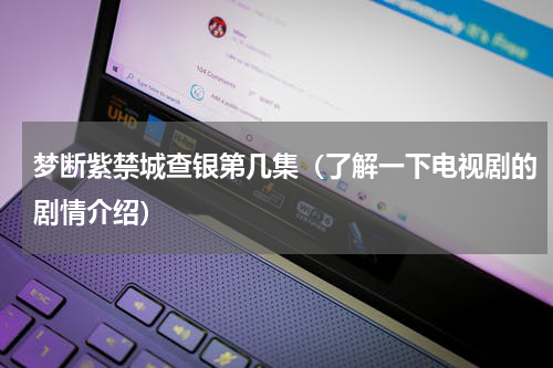 梦断紫禁城查银第几集（了解一下电视剧的剧情介绍）